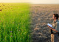 Global synthesis of 423 studies reveals biodiversity's uneven grip on nature's services