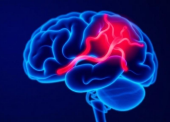 Brain Bleeds Strike About One in Fifty Newborns with Hemophilia, Meta-Analysis Finds