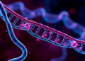 Immune Signals in the Blood May Explain Why Body and Mind Share Genetic Risk