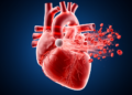 When the Heart Takes a Hit: Timing Determines How Blunt Chest Impact Disturbs Blood Flow
