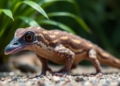 Platypus-Inspired Algorithm Brings Animal Sensing to Optimization