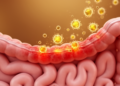 Tiny Capsules, Big Relief: Flavonoid Nanoparticles Aim Directly at Inflamed Guts