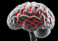 Luigi Luciani: The Italian Physiologist Who Taught Neuroscience How the Cerebellum Works