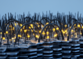 Carbon Nanotube Bridge Unlocks Record Energy Storage in New Supercapattery Electrode