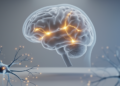 Synapse-Scanning PET Tracer Emerges as a Window Into Parkinson's Disease Brain