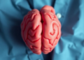 Before the Scalpel: Hidden Brain Injuries Strike Newborns with Heart Defects