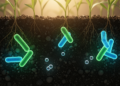 Rare Nitrogen Molecules Reveal Hidden Microbial Losses in Earth's Nitrogen Cycle