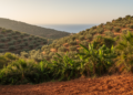 The Tropics Are Creeping Toward the Mediterranean, and the Region's Climate Is Shifting With Them