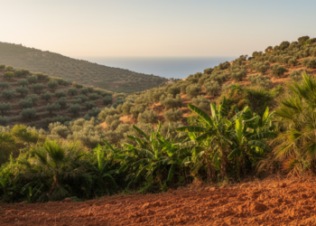 The Tropics Are Creeping Toward the Mediterranean, and the Region's Climate Is Shifting With Them