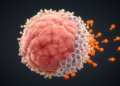 Hidden Immune Saboteurs: Scientists Map the Cells That Shield Colorectal Tumors