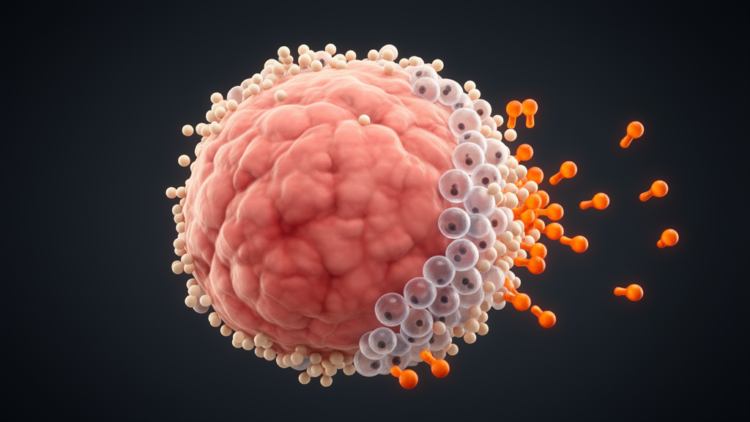 Hidden Immune Saboteurs: Scientists Map the Cells That Shield Colorectal Tumors