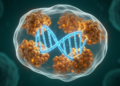RNA-Binding RBM Proteins Emerge as Double-Edged Players in Cancer