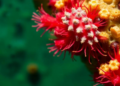 From Painkillers to Sunscreens: How Everyday Chemicals Are Hitting the Microscopic Engines of Aquatic Ecosystems