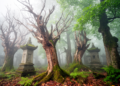 Nine dying trees reveal invisible extinction hiding in a sacred Chinese forest