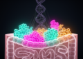 Single-Cell Map of Gut Chromatin Reveals Which Cells Drive Crohn's Disease Risk