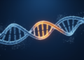 Genes, Big Data and a Protective Mutation Point to New Alzheimer's Drug Targets