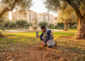 Soil Moisture, Not Heat, Drives Carbon Loss from Mediterranean City Parks
