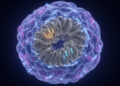 Hidden Genome Folds Silence Two Tumor-Suppressing Genes in Aggressive Breast Cancer