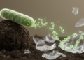 Soil Bacterium Yields a Surprisingly Powerful Enzyme for Breaking Down PET Plastic Intermediates