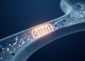 A Bacterial Toxin's Random Flickers Reveal Hidden Complexity in Nanopore Sensing