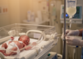 Older Soybean Oil IV Fat May Beat Newer Blend for Preterm Infant Growth, Study Finds