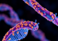 Long-Read Genome Sequencing Powers a New, Deeply Characterized iPSC Resource for Lab Modeling