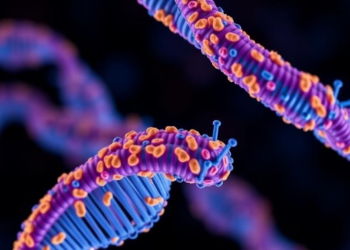 Long-Read Genome Sequencing Powers a New, Deeply Characterized iPSC Resource for Lab Modeling