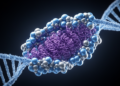 Genome's Silent Guardian: HUSH Complex Emerges as Key Player in Cancer