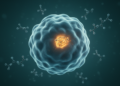 Hidden Enzyme in B Cells Emerges as a Master Switch for Allergic Asthma