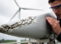 How Fatigue Cracks Eat Wind Turbine Blades: A New Fracture Mechanics Test Could Transform Erosion Protection