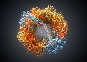 Scientists Capture the Spliceosome in the Act of Shutting Itself Down