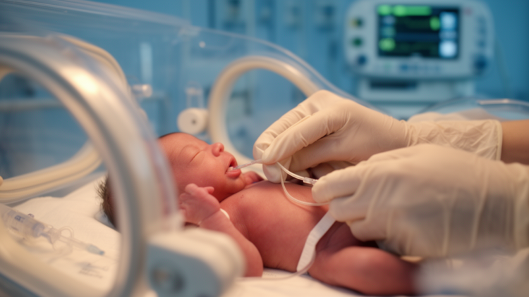 Europe's Neonatologists Rewrite the Rules for Tiny Veins: New Standard for Baby IV Lines