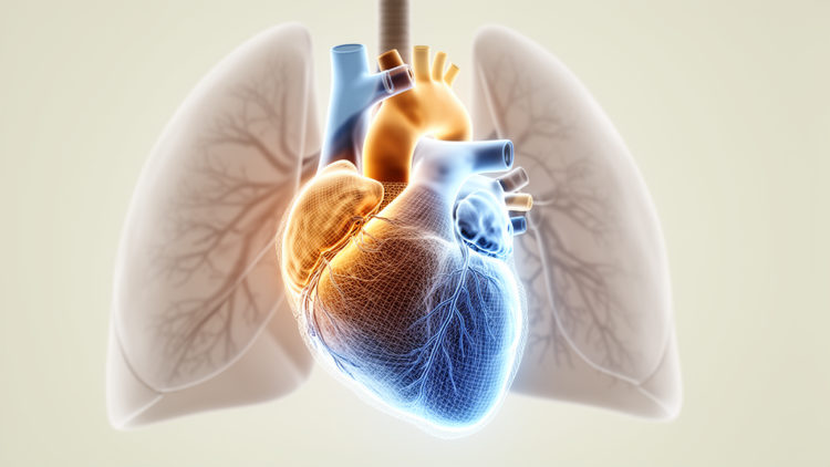 First Computer Model Reveals Why the Right Heart Struggles After Lung Surgery