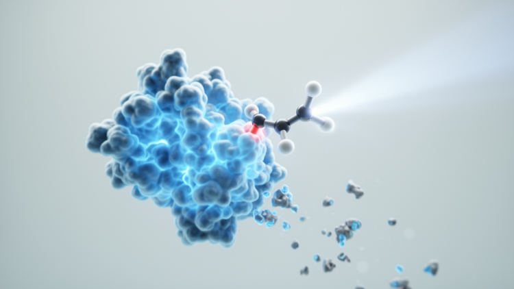 Light-Activated Molecular Degraders Put Protein Destruction Under Remote Control