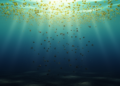 Tiny Algae Rewrote the End of a Six-Million-Year Ocean Bloom