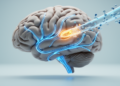 How the Brain's Water-Saving Hormone Keeps Its Supply Line Running Under Pressure