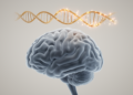 Massive Parkinson's Genetics Study Confirms Rare Gene Variants Raise Disease Risk
