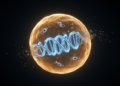 Aging May Stem From a Genome-Wide Shift That Sidelined Cellular Maintenance