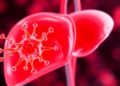 Lactate Tags a Tumor Suppressor and Fuels Liver Cancer Growth
