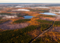 New Optimization Model Steers Boreal Timber Harvests Toward Nature's Own Pattern