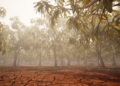 Drought Dimmed the Canopy: Subtropical Trees Absorb Less Light as Soils Dry