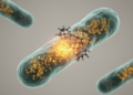 Scientists Uncover Molecular Off Switch That Controls Nitrogen Fixation in Microbes