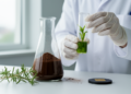 Beach Plant Extract Yields Copper Ferrite Nanoparticles for Supercapacitor Electrodes