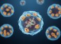 One Gene Links Five HLA-B27 Diseases, Study Finds