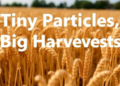 Tiny Particles, Big Harvests: How Nanoparticles Could Shield Cereal Crops From Drought
