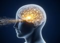 Attention-Based AI Reads News Word by Word to Catch Multilingual Fake Stories