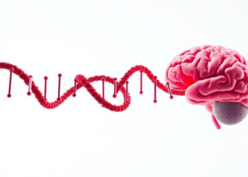 Blood Methylation Study Tests Whether ANGPT1 Gene Marks Stroke Risk After Brain Aneurysm Rupture