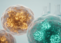 BRCA Carriers Show Distinct Protein Signatures in Healthy Breast Tissue, Study Finds