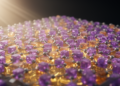 Molecular Chaos Becomes a Strength in Record-Breaking Perovskite Solar Cells
