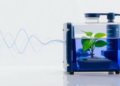 Sound Waves and a Plant-Made Catalyst Turn Water Into a Drug-Making Machine